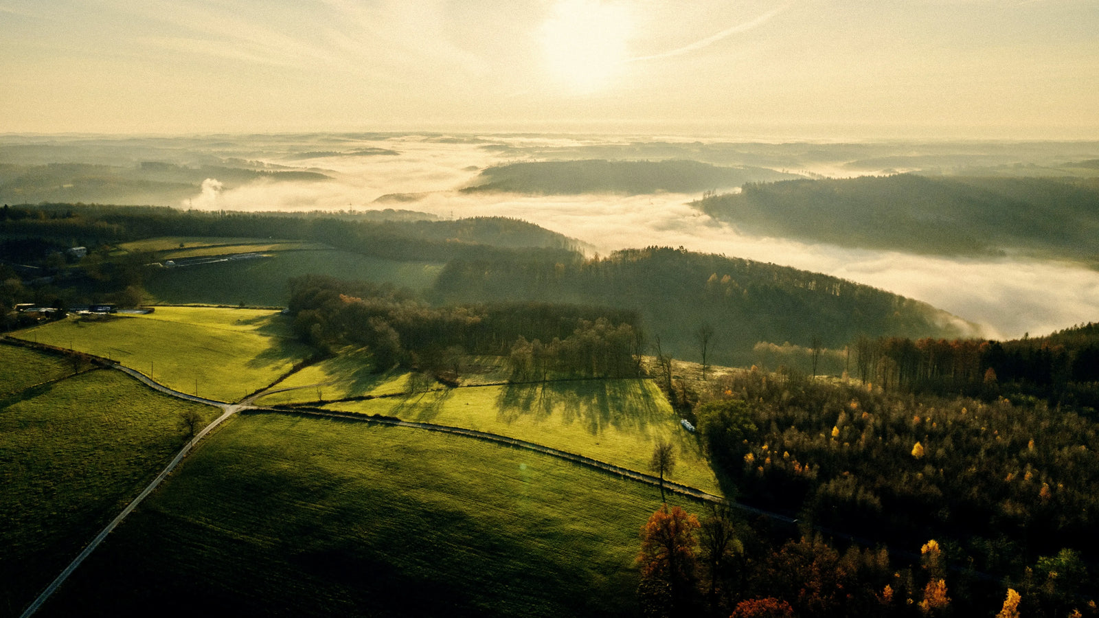 Warum die Qualität unseres Holzes es anders ist?