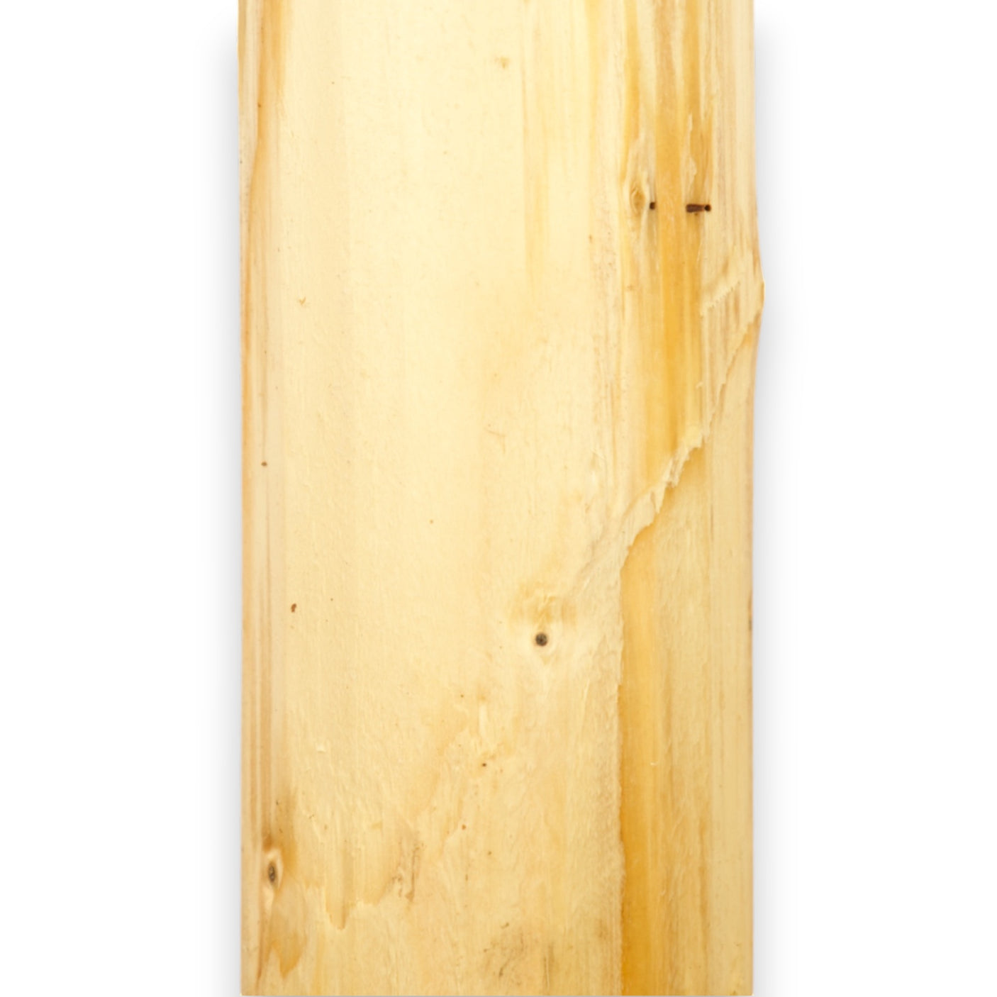 Weidepfahl - Natur - Gefräst