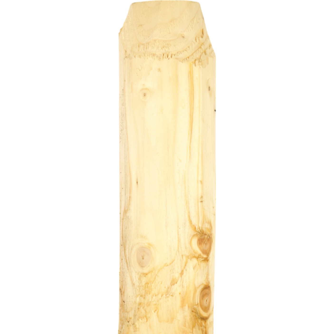 Weidepfahl - Natur - Gefräst