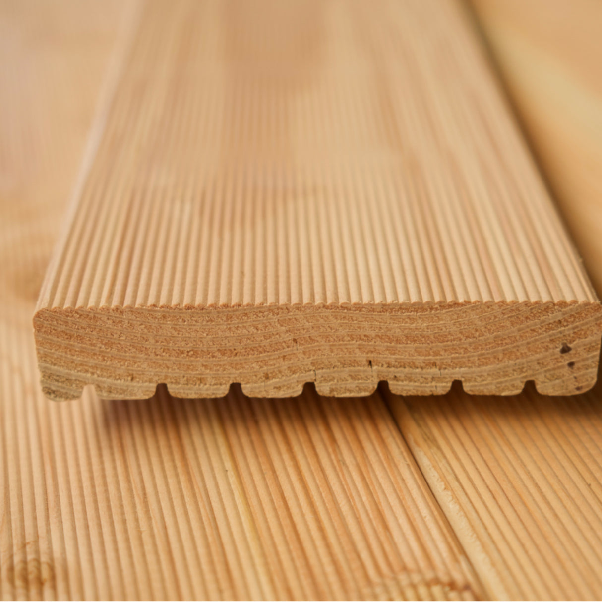 Terrassendielen Komplettset Douglasie