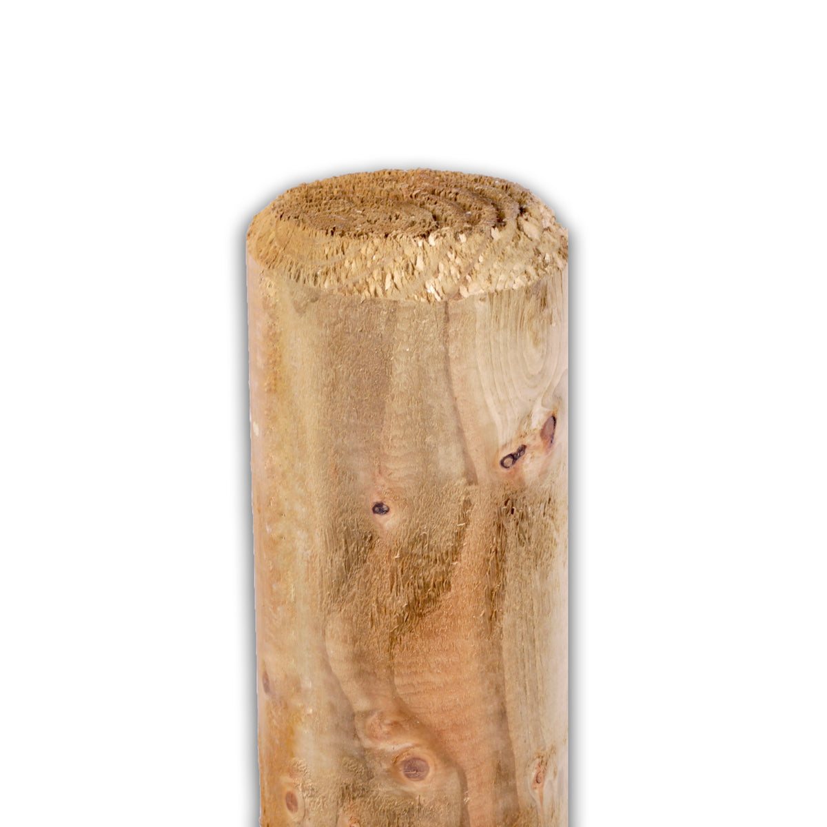 Rundpfahl für Weidezaun aus kesseldruckimprägniertem Holz mit angefastem Kopf, freigestellt
