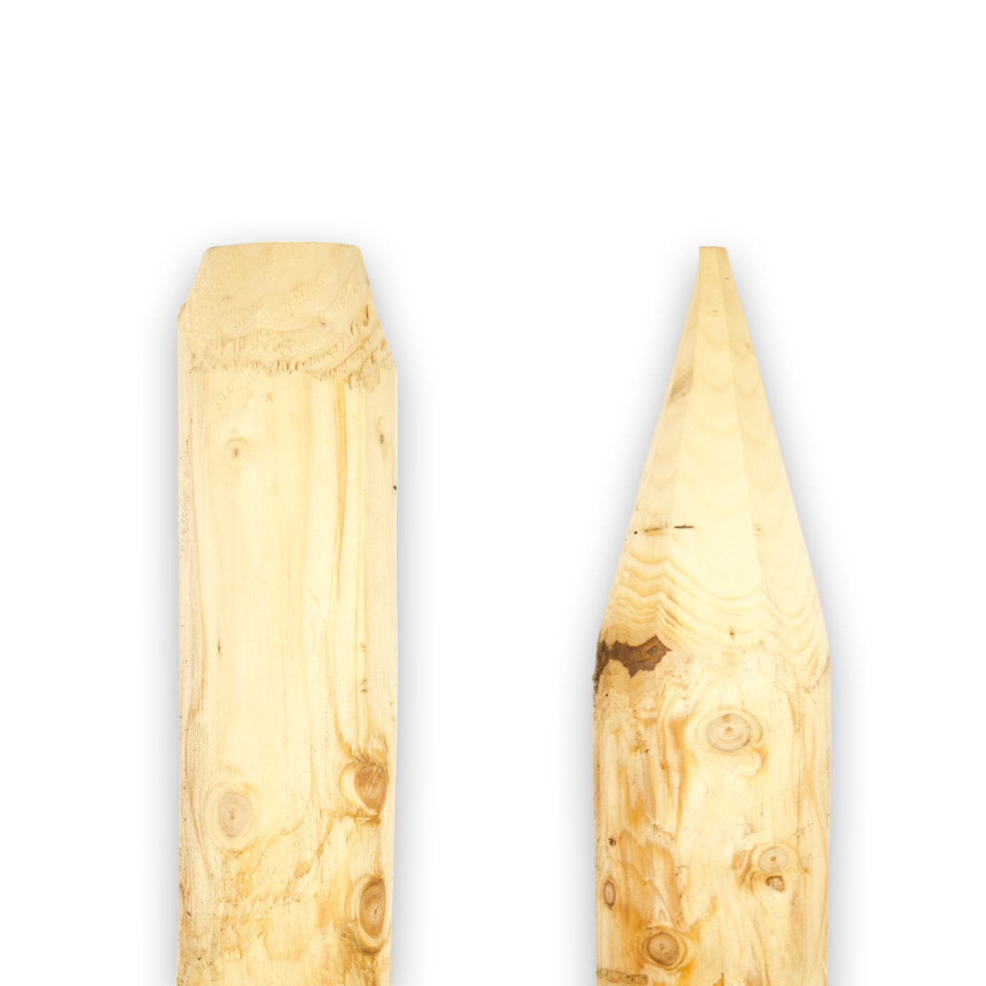 Weidepfahl - Natur - Gefräst