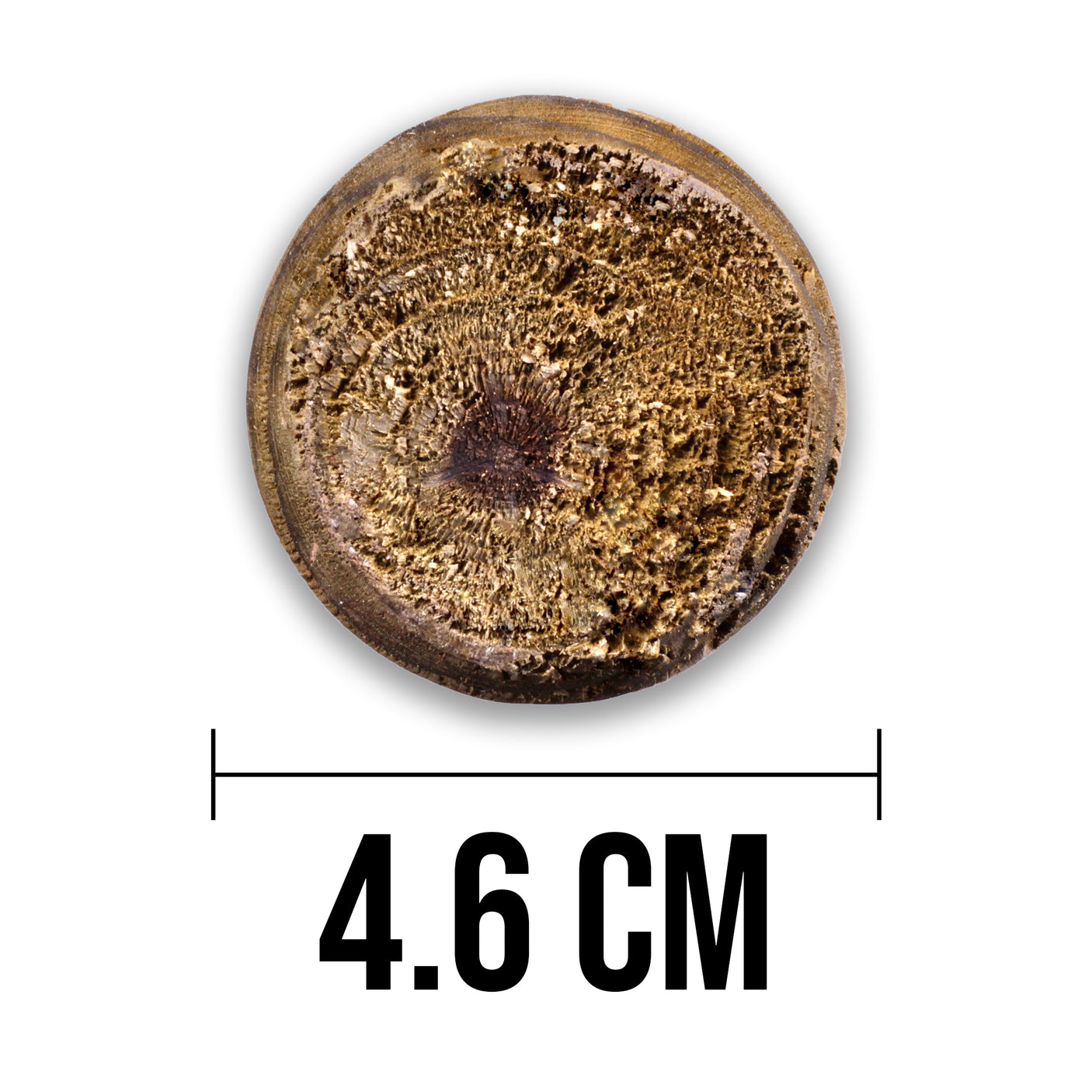 Baumpfahl Pfosten - Naturbelassen - Rund