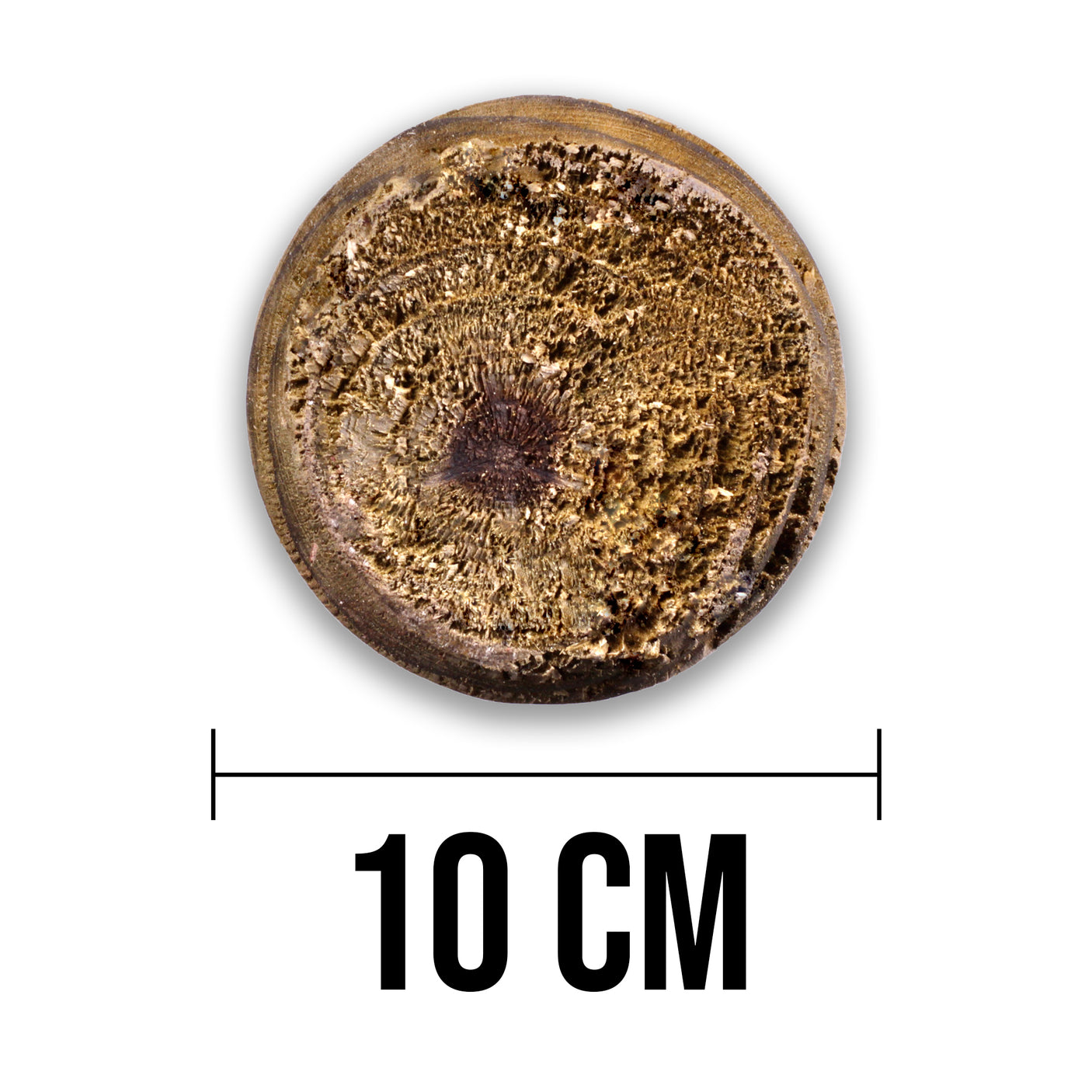 Baumpfahl Pfosten - Naturbelassen - Rund