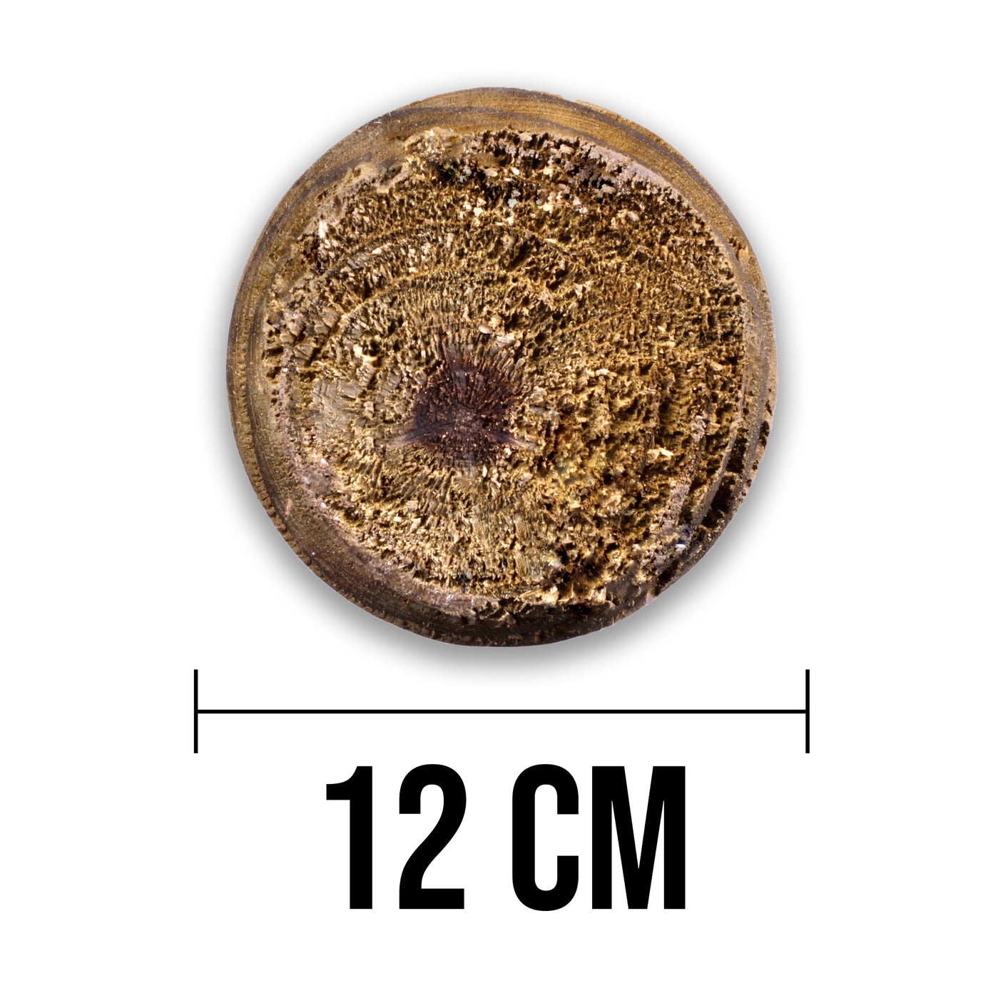 Baumpfahl Pfosten - Naturbelassen - Rund