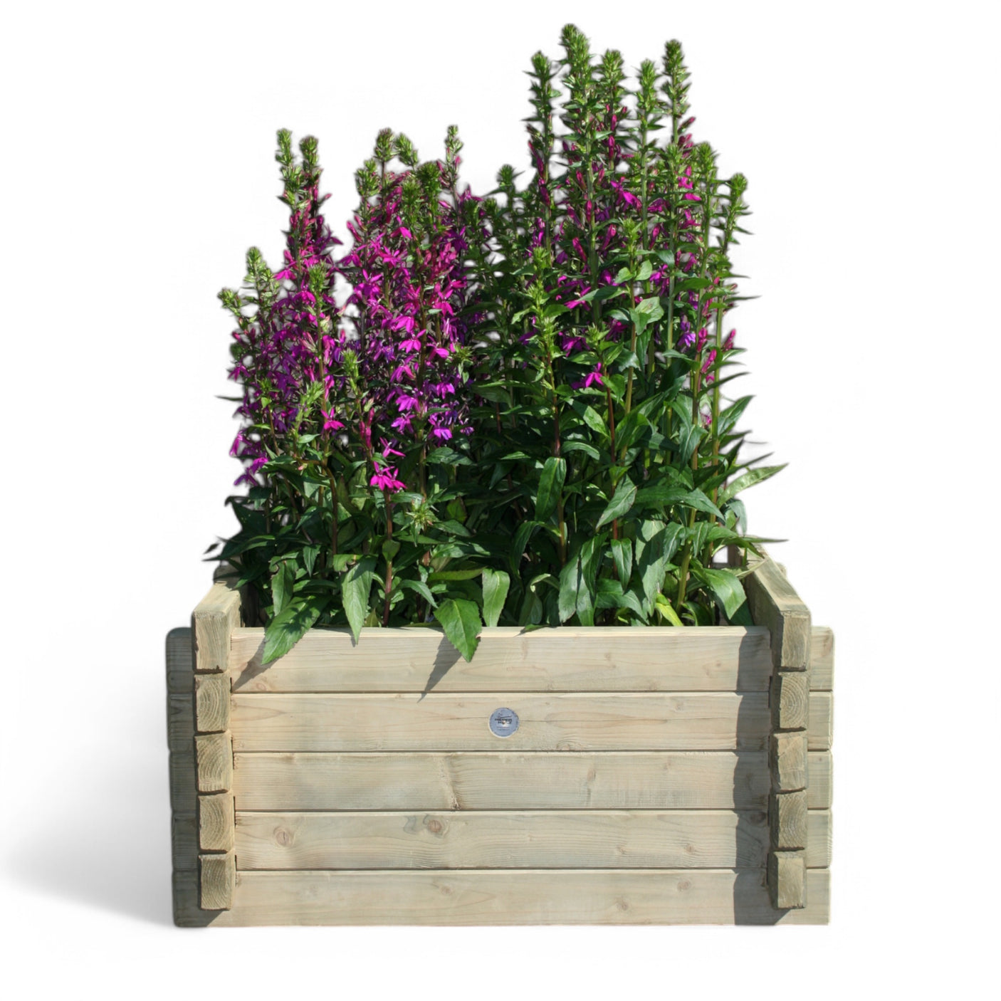 Pflanzkübel, Blumenkübel - Wenne - KDI