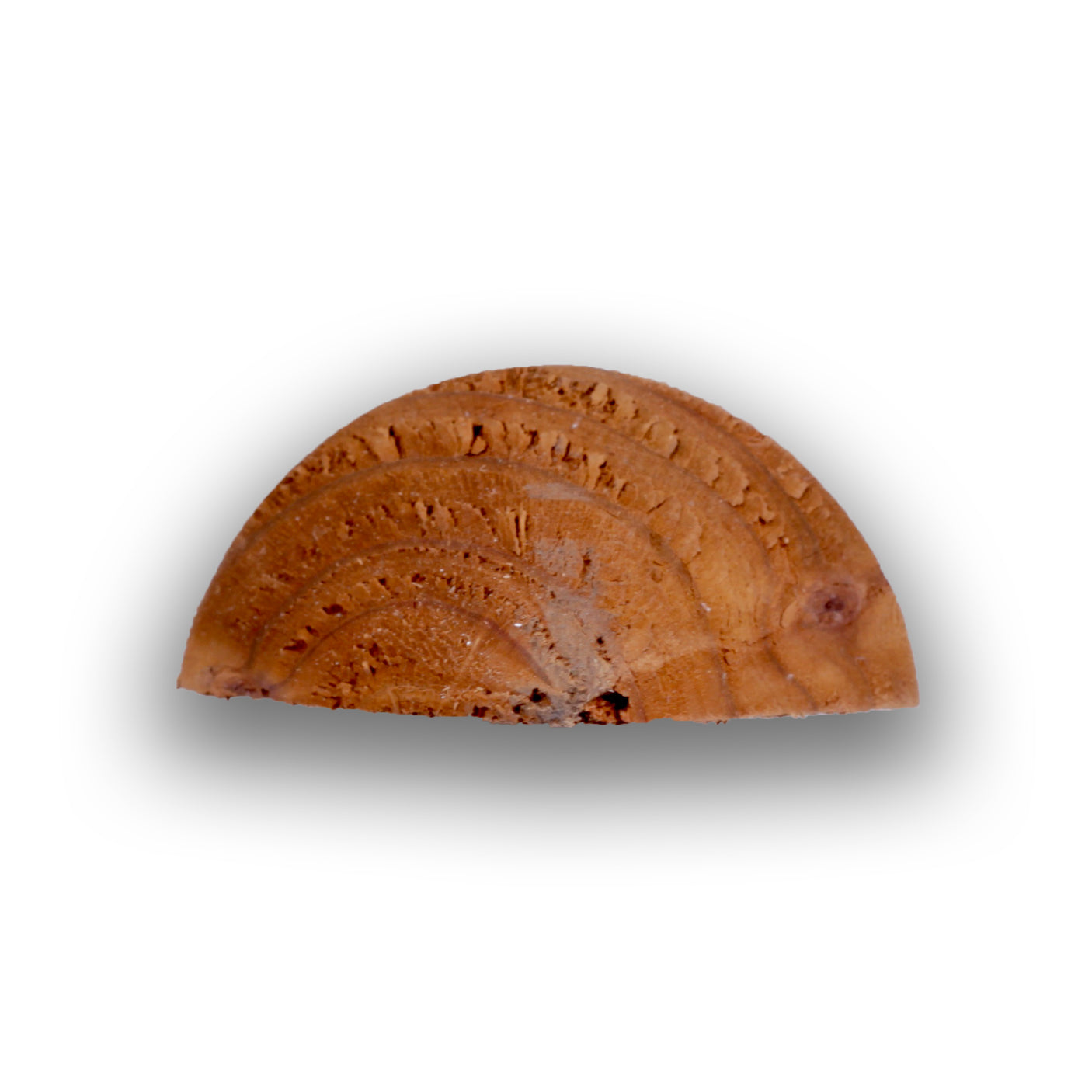 Zaunlatte Stakete Senkrechtzaun Jägerzaun - KDI Braun