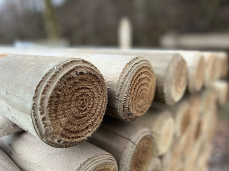 Wie schnell verrottet Holz in der Erde?