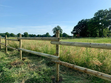 Die Top 10 Gartenprojekte aus Holz