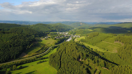 Warum wir auf Holz aus dem Sauerland setzen – regional & nachhaltig