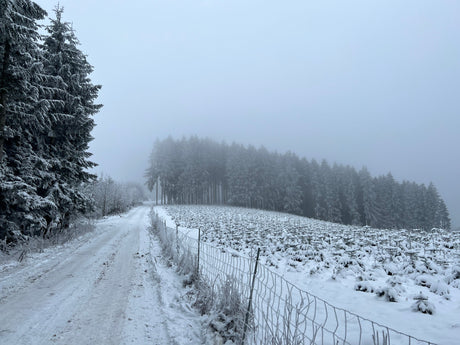 Was passiert im Winter mit dem Holz?
