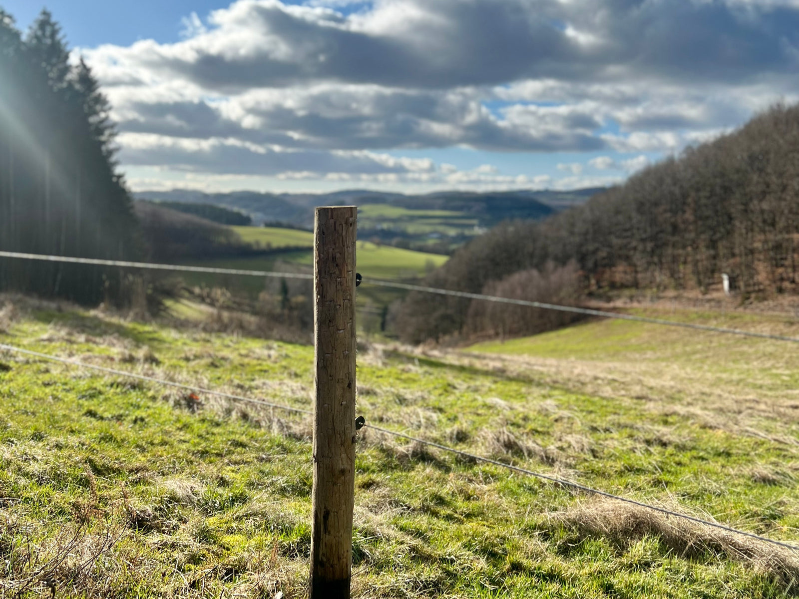 Was kann man aus Holz für den Garten machen?