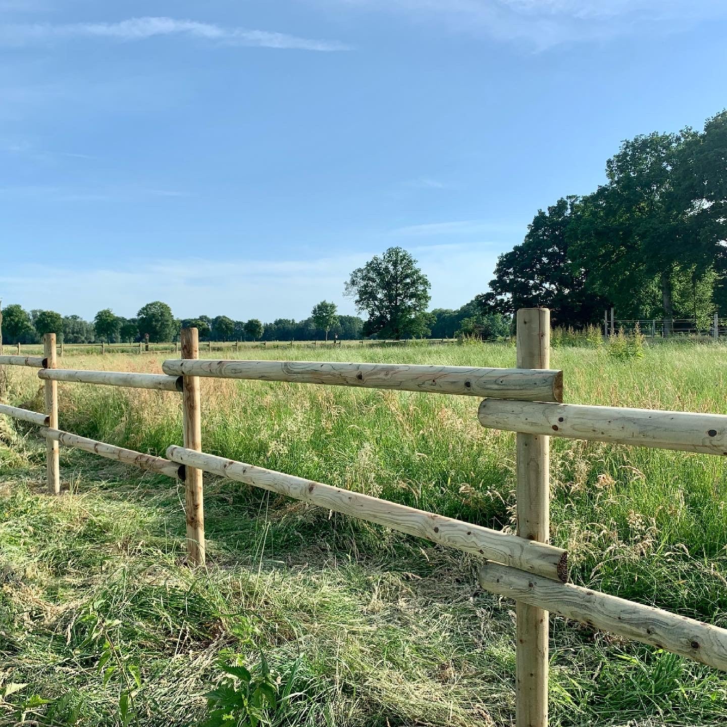 Welches Holz für Zaunriegel?