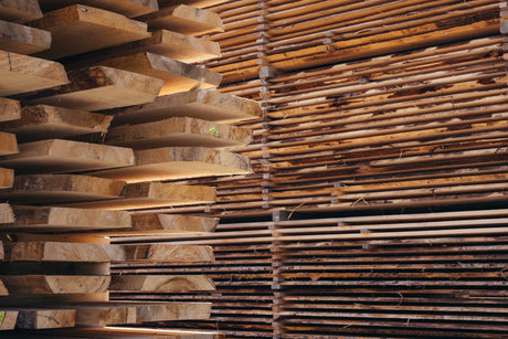 Wie lange hält kesseldruckimprägniertes Holz? Haltbarkeit & Pflege