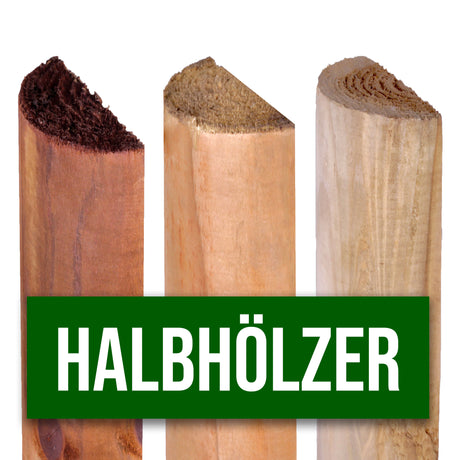 Halbriegel
