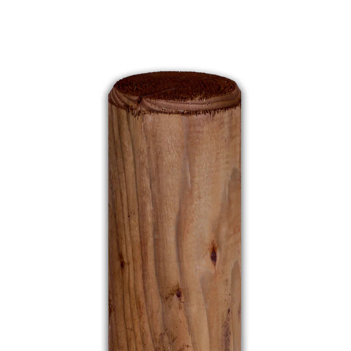 Runder Zaunpfahl aus Holz, kesseldruckimprägniert braun, Detailansicht des Pfahlkopfes