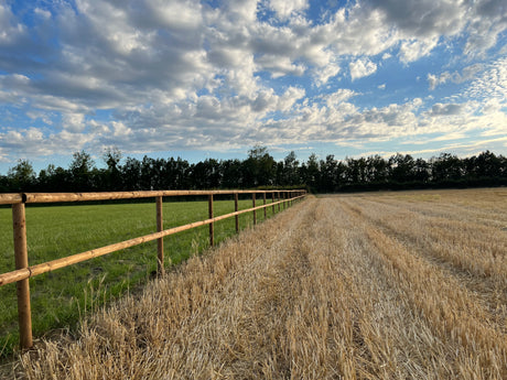 Weidezaun Pferdezaun - Komplettset - KDI (Runde Pfähle)