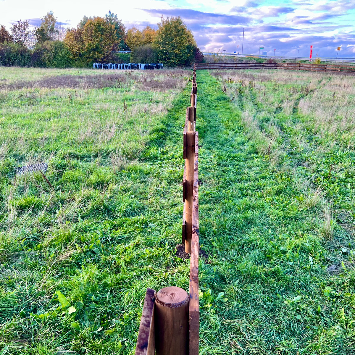 Blick entlang des Weidezauns mit runden Holzpfählen quer durch eine Wiese