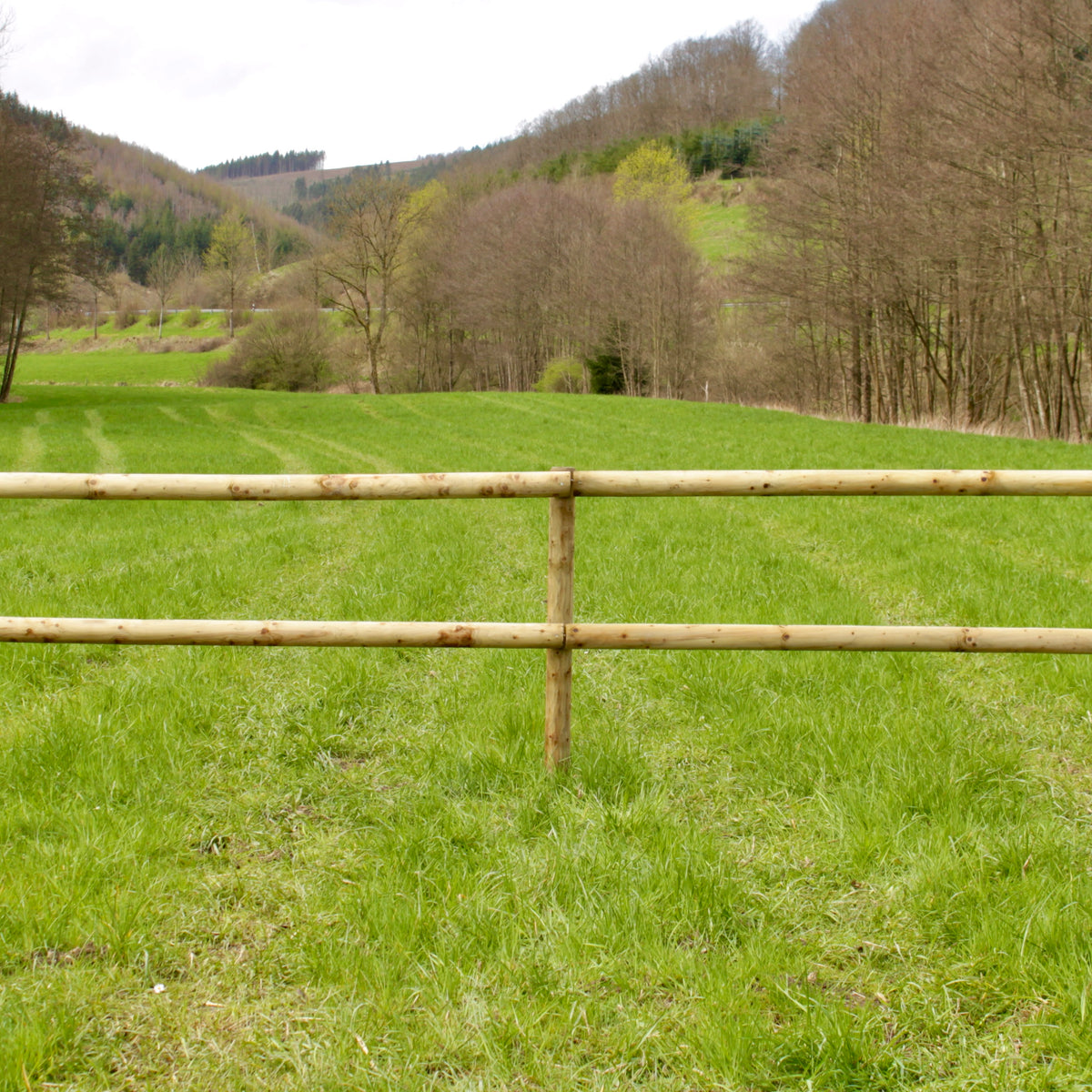 Weidezaun Pferdezaun Komplettset aus kesseldruckimprägnierten Rundpfählen mit zwei Holzriegeln auf grüner Pferdeweide