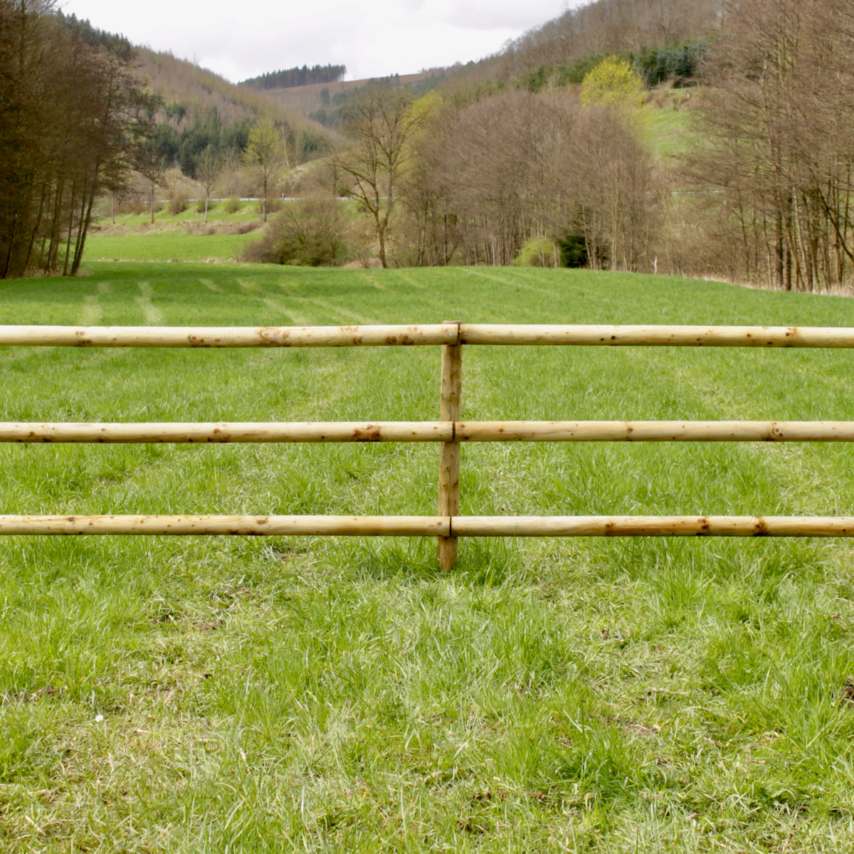 Pferdezaun aus Holz mit runden Pfählen und zwei Querriegeln vor bewaldetem Hang