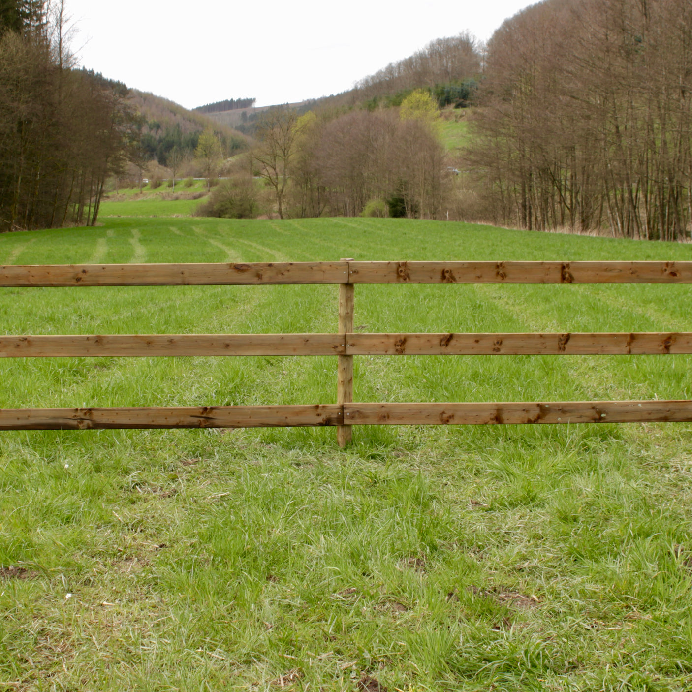 Weidezaun Plankenzaun - Komplettset - KDI (Runde Pfähle)