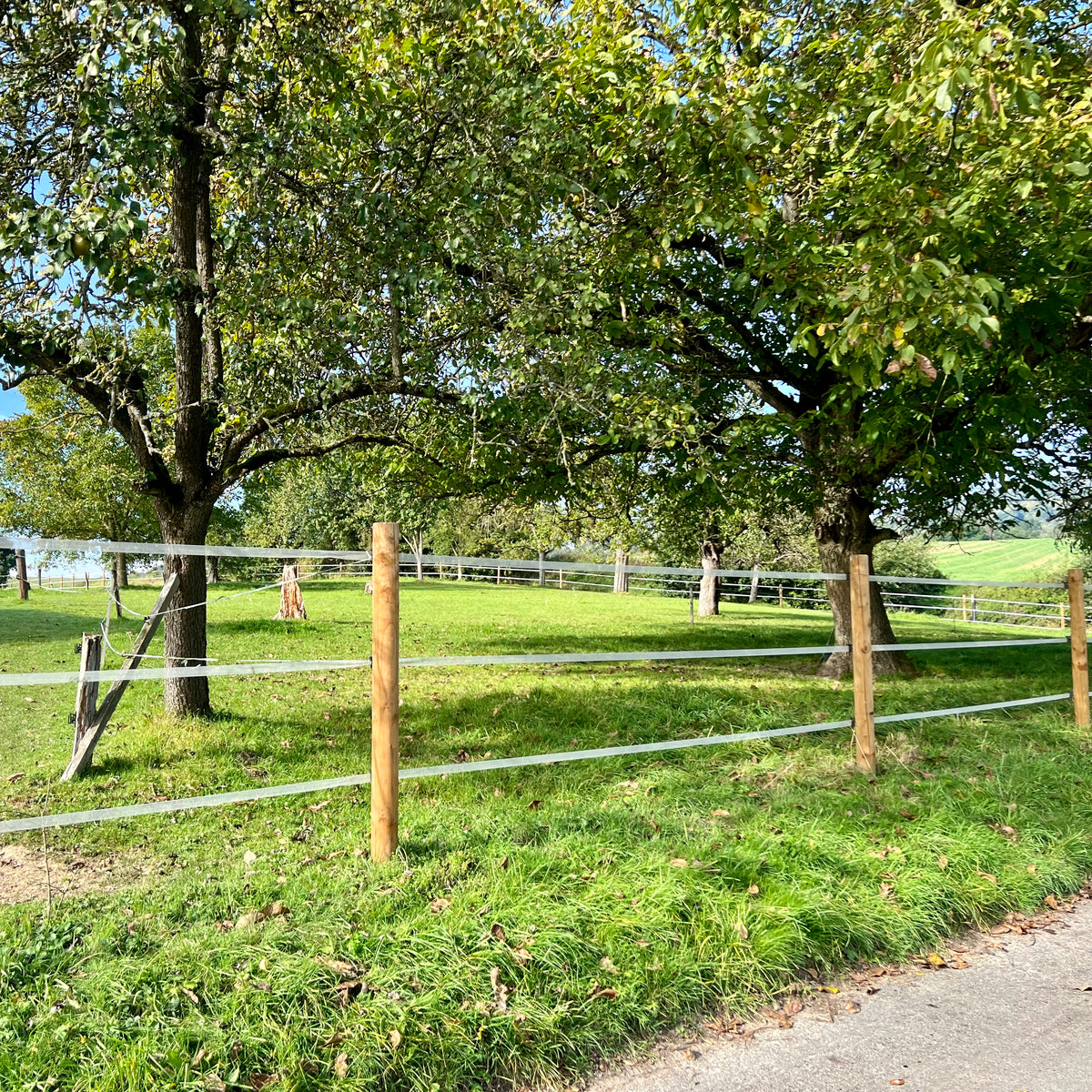 Koppelzaun mit Breitband an Holzpfählen entlang eines Weges vor einer Weide
