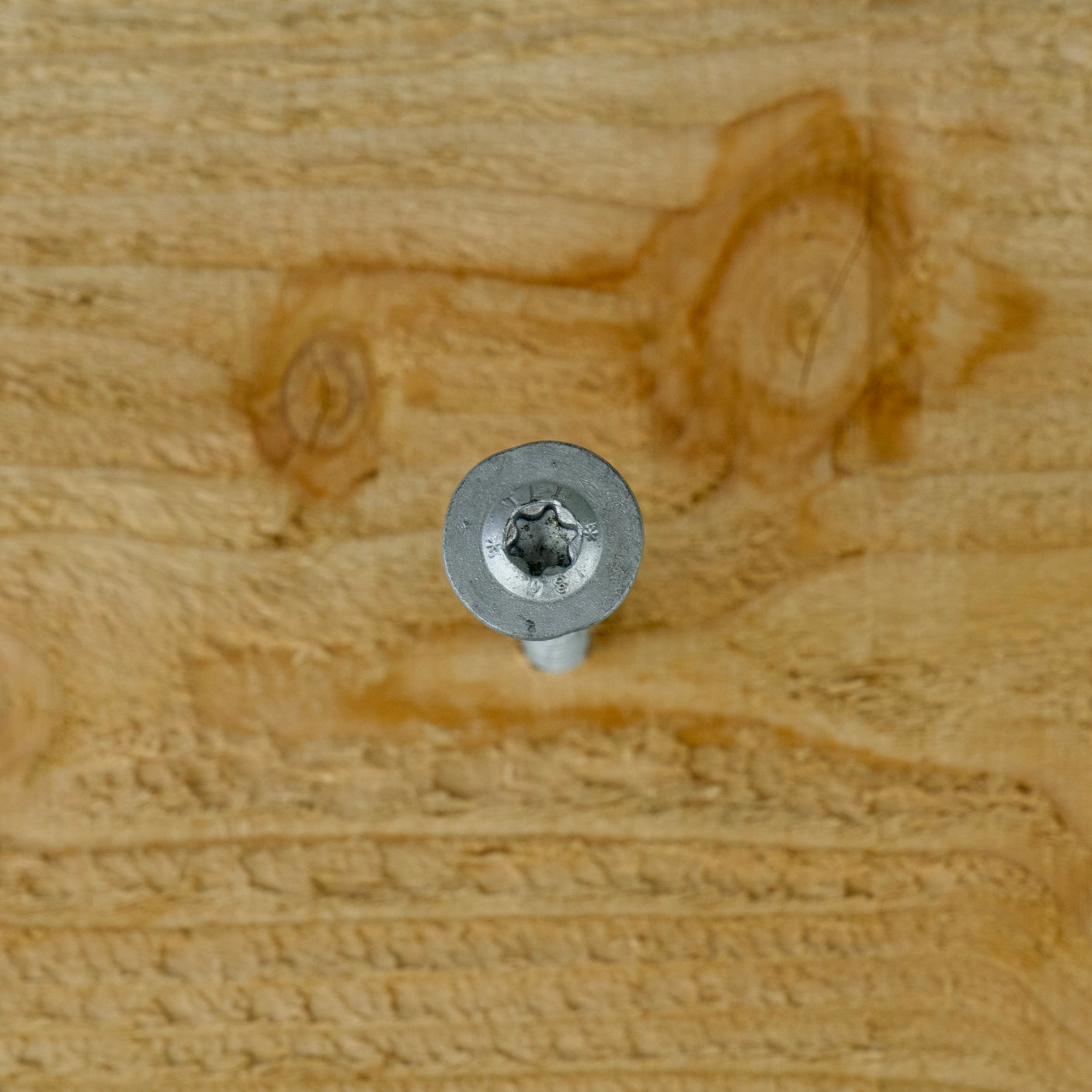 Tellerkopfschrauben - Holz und Zaunschraube