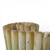 Beetrolli - KDI Grün