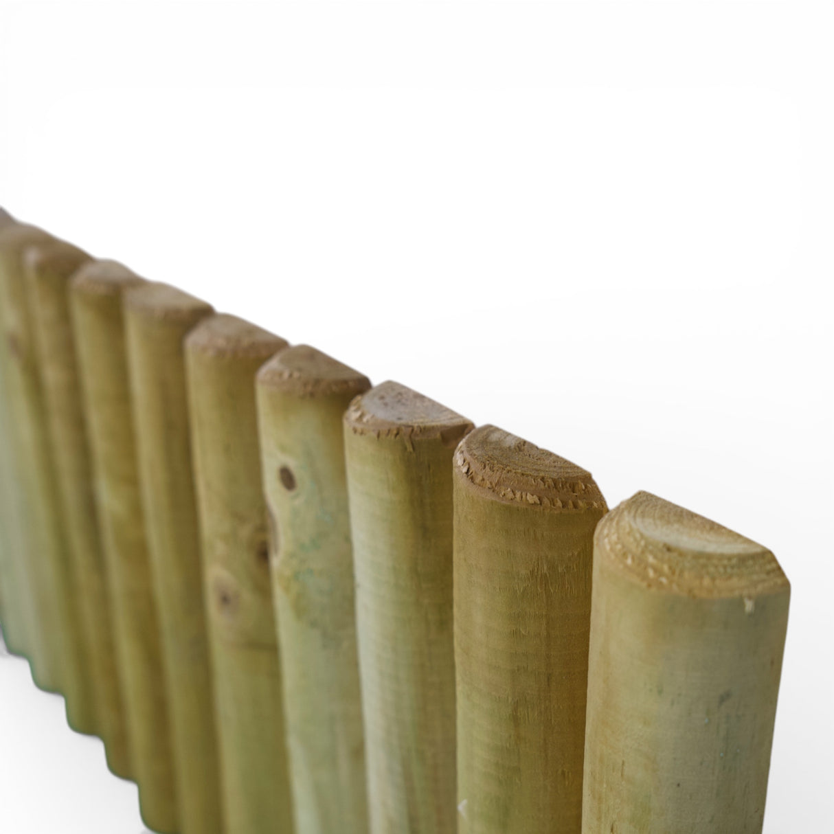 Beetrolli - KDI Grün