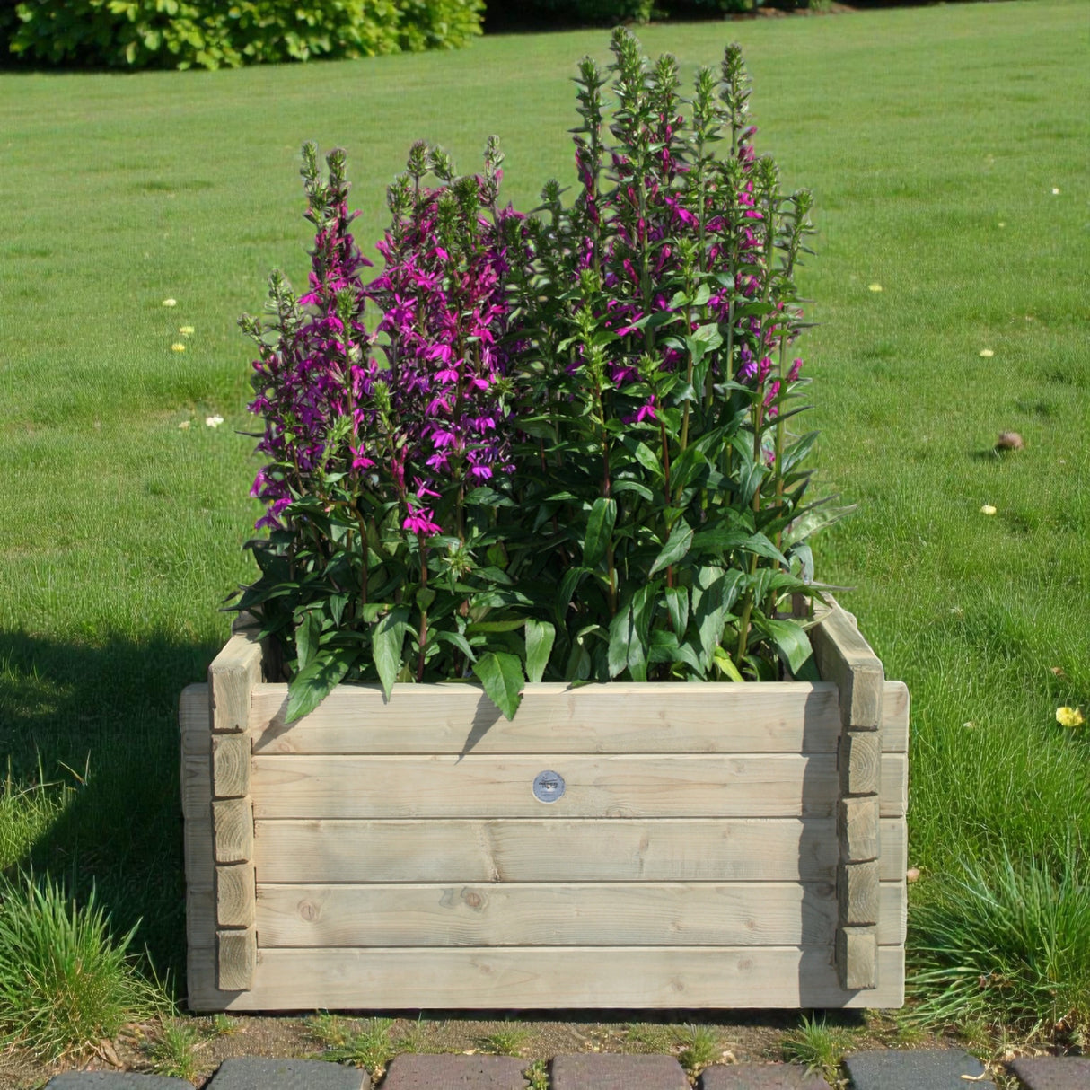 Pflanzkübel, Blumenkübel - Wenne - KDI