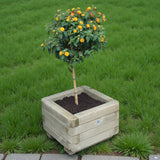 Pflanzkübel, Blumenkübel - Ruhr - KDI