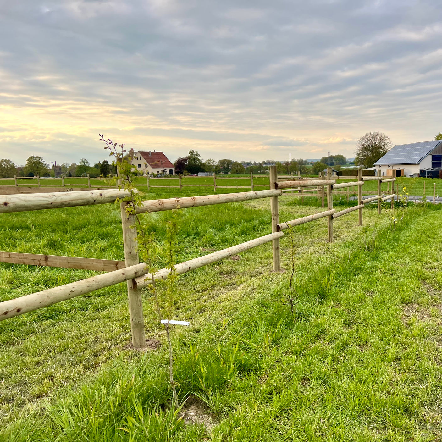 Weidezaun Pferdezaun - Komplettset - KDI (Runde Pfähle)